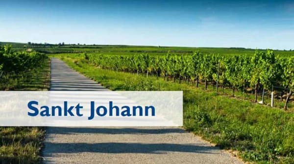 Immobilie in Sankt Johann - Idylisch am Rand von Weinbergen wohnen -  Ruhig gelegener Vollklinker-Walmdachbungalow - Bild 1