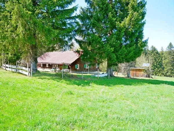 Immobilie in Stiefenhofen - Alpe in Alleinlage bei Oberstaufen-Stiefenhofen im Landkreis Lindau - Bild 3