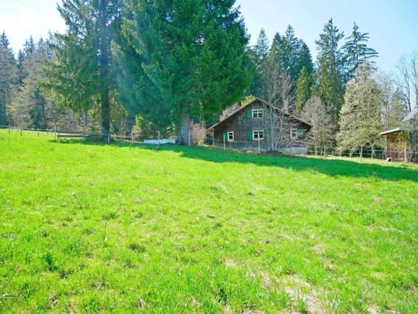 Immobilie in Stiefenhofen - Alpe in Alleinlage bei Oberstaufen-Stiefenhofen im Landkreis Lindau - Bild 4