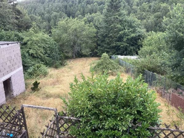 Immobilie in Esthal - Charmante Doppelhaushälfte in naturnaher Lage  in 67472 Esthal - Bild 1