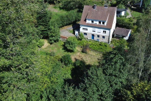 Immobilie in Tecklenburg - Einzigartiges Waldgrundstück in zentraler Südhanglage von Tecklenburg! - Bild 2