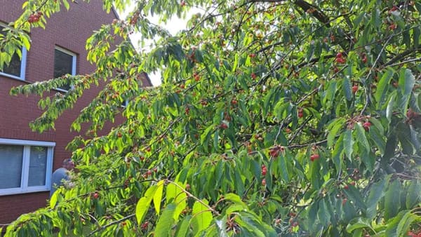 Immobilie in Vogelsang-Warsin - Mehrfamilienhaus am Stettiner Haff mit 3,7 ha Grundstück - Bild 2