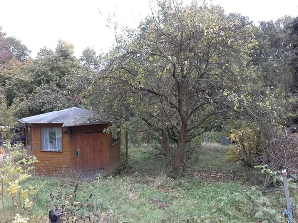 Immobilie in Hardt - solides  Einfamilienhaus mit großem Garten und Garagen  142 m² Wohnfläche in Hardt - Bild 1