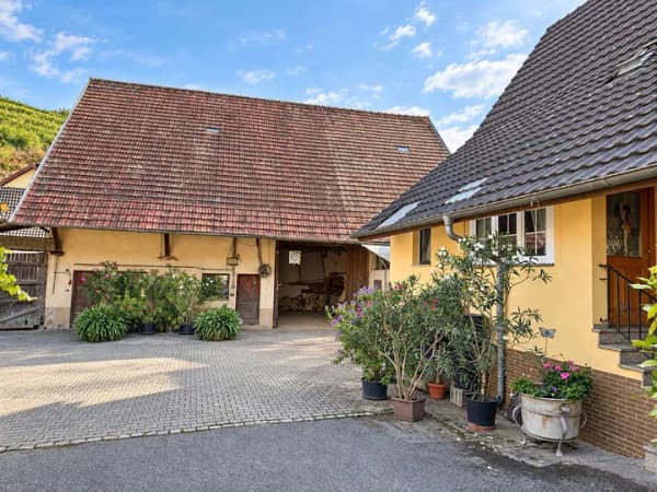 Immobilie in Bötzingen - Winzerhof von 1603 in Bötzingen am Kaiserstuhl
Wohnen, Scheune, Gewölbekeller & großer Bauerngarten - Bild 3