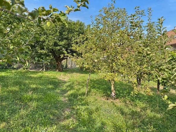 Immobilie in Bötzingen - Winzerhof von 1603 in Bötzingen am Kaiserstuhl
Wohnen, Scheune, Gewölbekeller & großer Bauerngarten - Bild 4