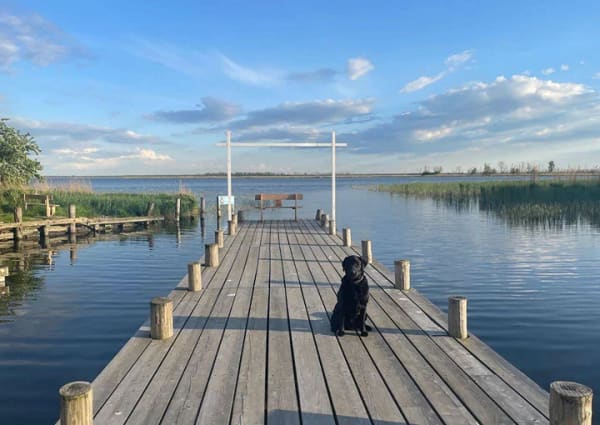 Immobilie in Stolpe auf Usedom - Außergewöhnliches Wasseranwesen am Haff- Karnin auf Usedom - Bild 1