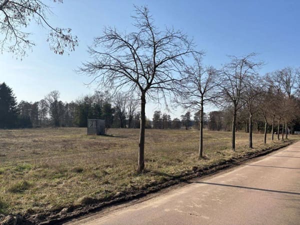 Immobilie in Coswig (Anhalt) - Bungalow in ruhiger und waldreicher Umgebung !!  - Bild 2
