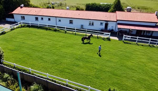 Immobilie in Altenkirchen - Wohnen, Urlaub und Pferdehaltung in naturnaher Umgebung! - Bild 2
