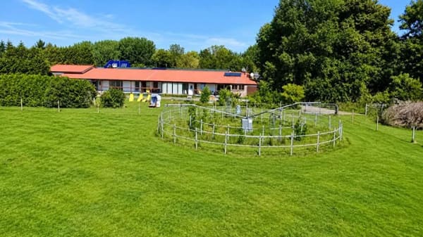 Immobilie in Altenkirchen - Wohnen, Urlaub und Pferdehaltung in naturnaher Umgebung! - Bild 4