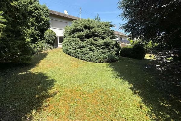 Immobilie in Hofheim am Taunus - Hofheim-Diedenbergen: 2 Generationen- oder XXL-Haus in toller Ruhelage - Bild 3