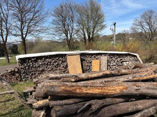 Immobilie in Grebenhain - Einfamilienhaus mit Potential in ruhiger und ländlicher Umgebung - OT Herchenhain - Bild 4
