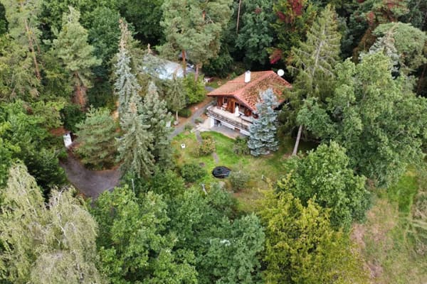 Immobilie in Cavertitz - EINFACH MAL RAUS | Zwei Häuser mit Pool, Sauna & weitläufigem Grundstück - Bild 0