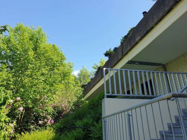 Immobilie in Bad Lauterberg - Großes Apartment am Waldrand! - Bild 4