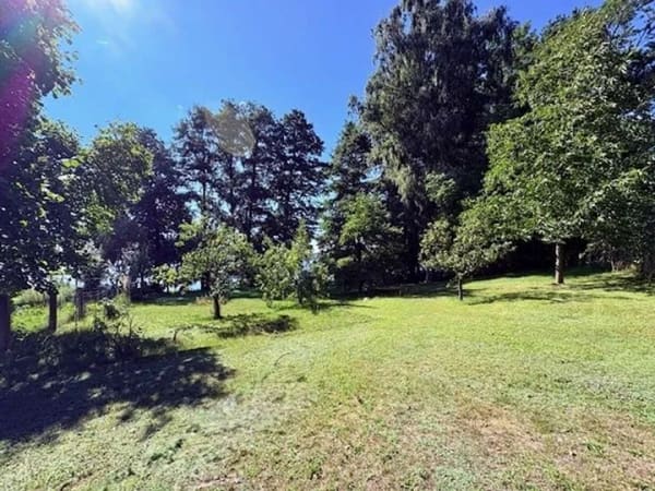 Immobilie in Lychen - Wassergrundstück zu verkaufen - Bild 3