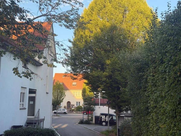Immobilie in Ertingen - Zentrale Wohnung mit Balkon - Bild 1