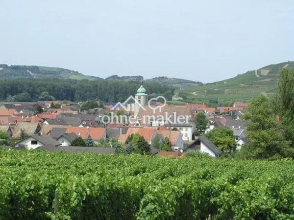 Immobilie in Sasbach am Kaiserstuhl - Einfamilienhaus freistehend in Sasbach am Kaiserstuhl - Bild 3