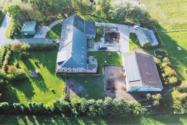 Immobilie in Pellworm - Resthof in Deichnähe - Bild 0