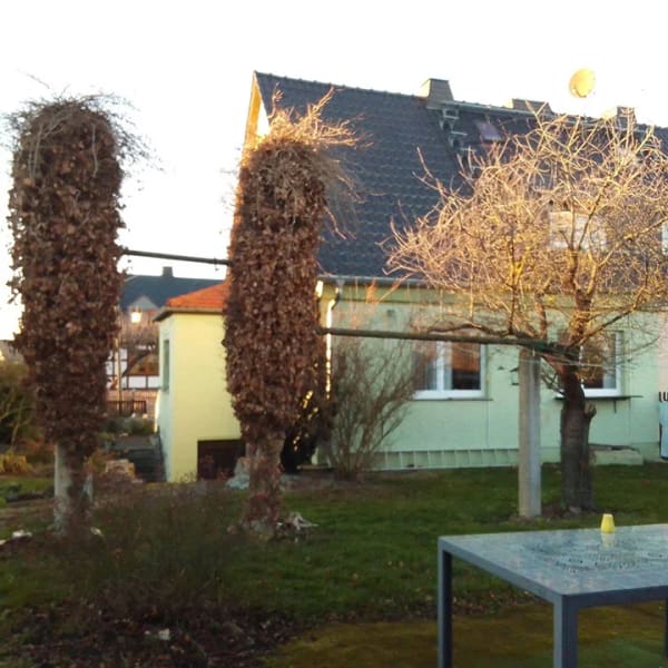 Immobilie in Langenwetzendorf - Massive Doppelhaushälfte mit Nebengebäude und großen Garten - Bild 1