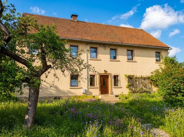 Immobilie in Olbersdorf - Familienheim mit viel Platz und Natur - Bild 0