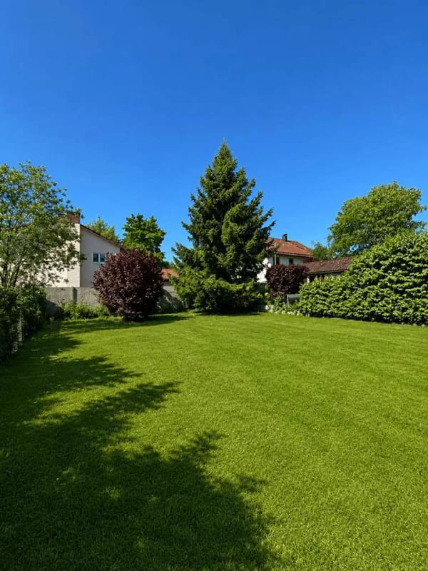 Immobilie in Schöngeising - Charmantes Mehrfamilienhaus mit Entwicklungspotenzial in ruhiger Wohnlage von Schöngeising - Bild 3