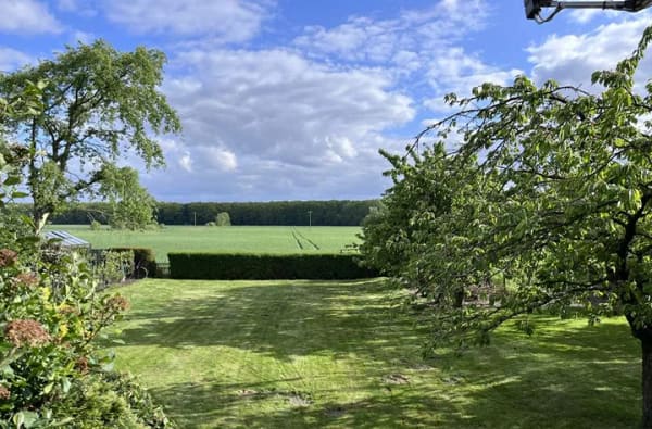 Immobilie in Vordorf - Einfamilienhaus mit großem Garten in Feldrandlage - Bild 4