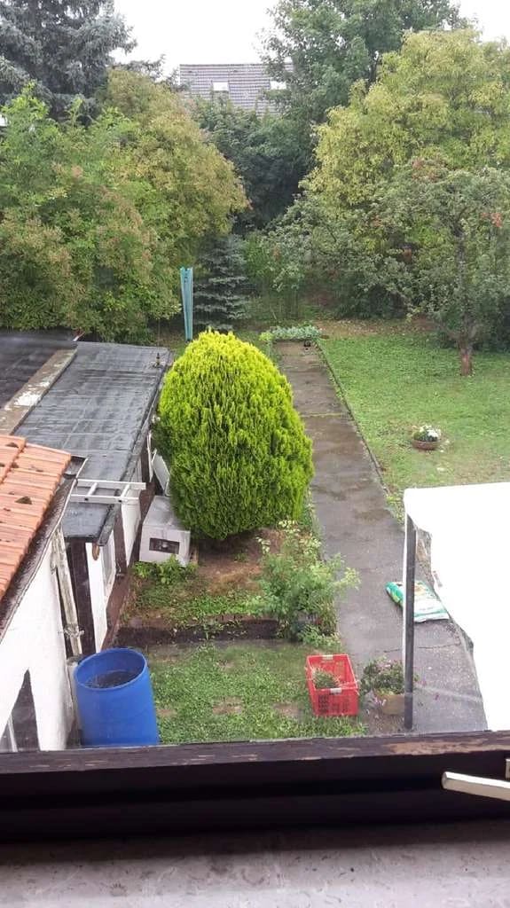 Immobilie in Flörsheim - Solide Kapitalanlage in Flörsheim am Main: Voll vermietetes 3-Familienhaus mit Garten - Bild 2