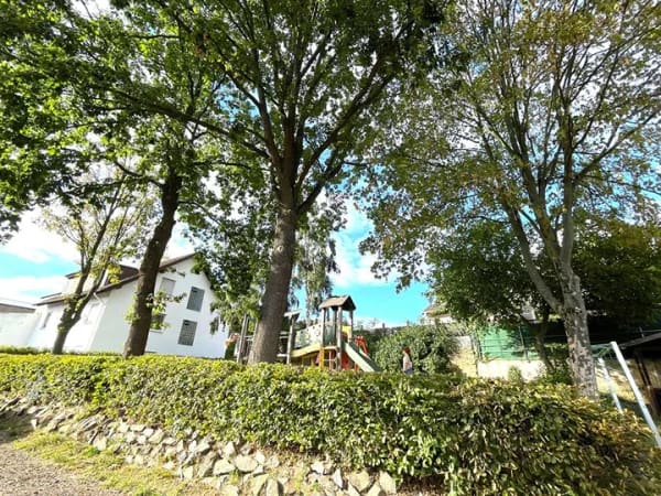 Immobilie in Grafschaft - ** Historischer Fachwerk-Bauernhof mit großem Sanierungspotenzial in Grafschaft-Beller ** - Bild 2