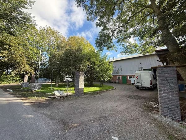 Immobilie in Schülp - Schülp: Sanierter Resthof mit 7 Zimmern und großzügiger Halle sowie einer Weide in Sackgassenlage - Bild 2