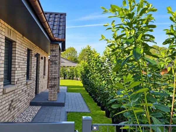 Immobilie in Sagard - Moderner Bungalow – hochwertig ausgestattet und komfortabel auf einer Ebene! - Bild 3