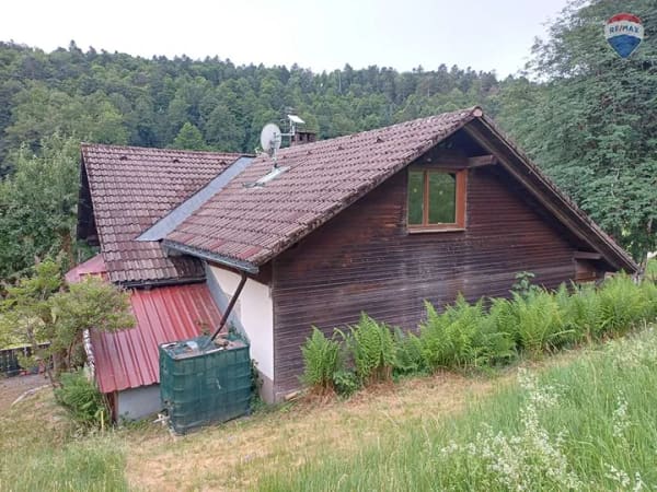 Immobilie in Schopfheim - Wohnhaus mit Quellwasser und großem Grundstück in naturnaher Lage - Bild 1