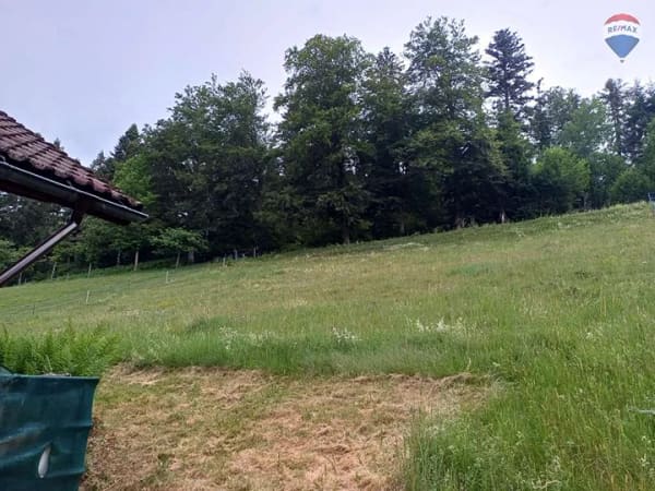 Immobilie in Schopfheim - Wohnhaus mit Quellwasser und großem Grundstück in naturnaher Lage - Bild 2