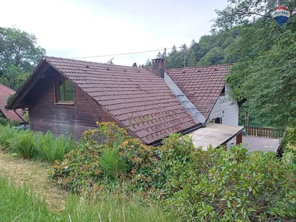 Immobilie in Schopfheim - Wohnhaus mit Quellwasser und großem Grundstück in naturnaher Lage - Bild 3