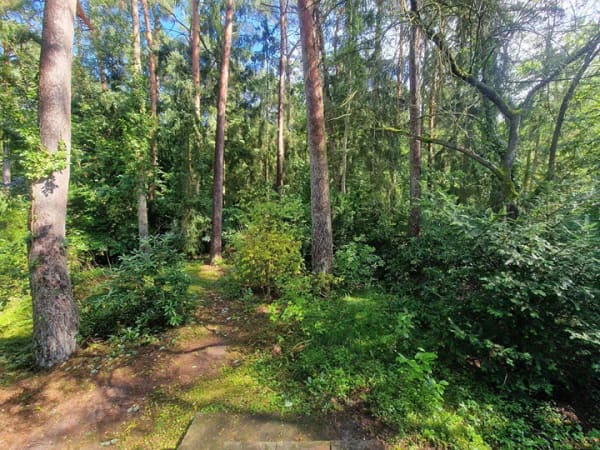 Immobilie in Nahrendorf - Natur vor der Tür – Ruhe inklusive - Bungalow auf 1.176 m² Grundstück - Bild 3