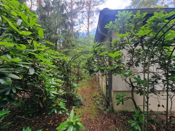 Immobilie in Nahrendorf - Natur vor der Tür – Ruhe inklusive - Bungalow auf 1.176 m² Grundstück - Bild 4