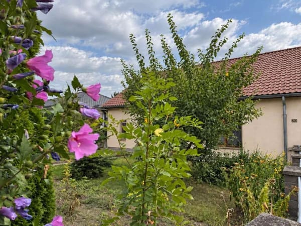 Immobilie in Machern - Gerichshain: einzugsfertige 5 Zimmer, 2 Bäder, Pool, Sauna, Nebengebäude und ganz viel Grün. - Bild 1