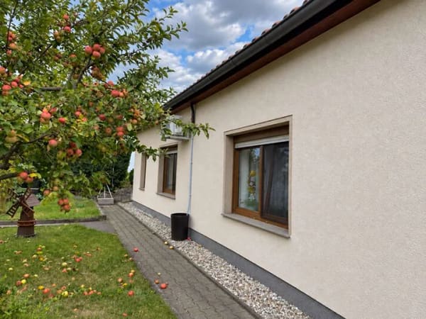 Immobilie in Machern - Gerichshain: einzugsfertige 5 Zimmer, 2 Bäder, Pool, Sauna, Nebengebäude und ganz viel Grün. - Bild 2