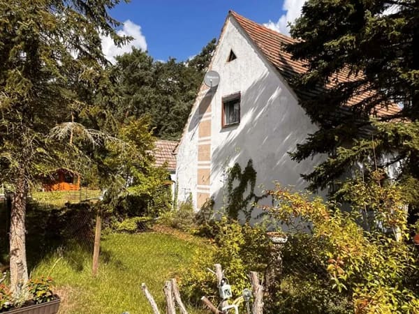 Immobilie in Lauta - Einfamilienhaus mit schönen großen Garten am Wald Nähe Lausitzer Seenland - Bild 2
