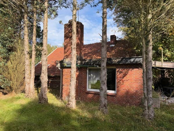Immobilie in Wittmund - 2.766 m² bei Wittmund: Weitläufiges Grundstück mit Bauland, Grünland und Altbestand für eigene Ideen - Bild 3