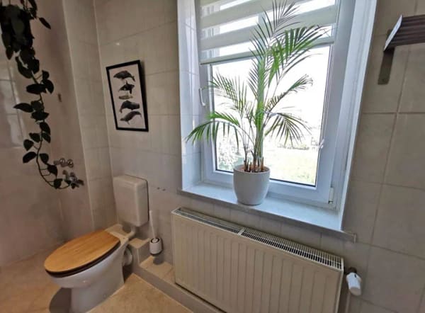 Immobilie in Bad Schmiedeberg - Dreifamilienhaus als solide Kapitalanlage mit laufenden Mieteinnahmen - Bild 3