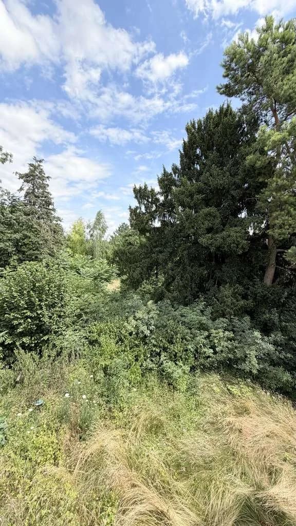 Immobilie in Framersheim - Geräumiges Einfamilienhaus mit Raum für Ihre Visionen und großem Gartenland - Bild 1