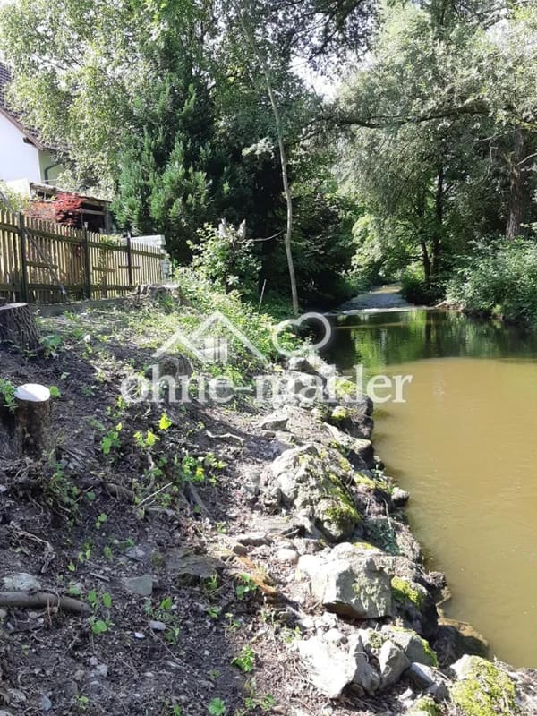 Immobilie in Wolpertswende - Mehrfamilienhaus in Wolpertswende - Bild 4