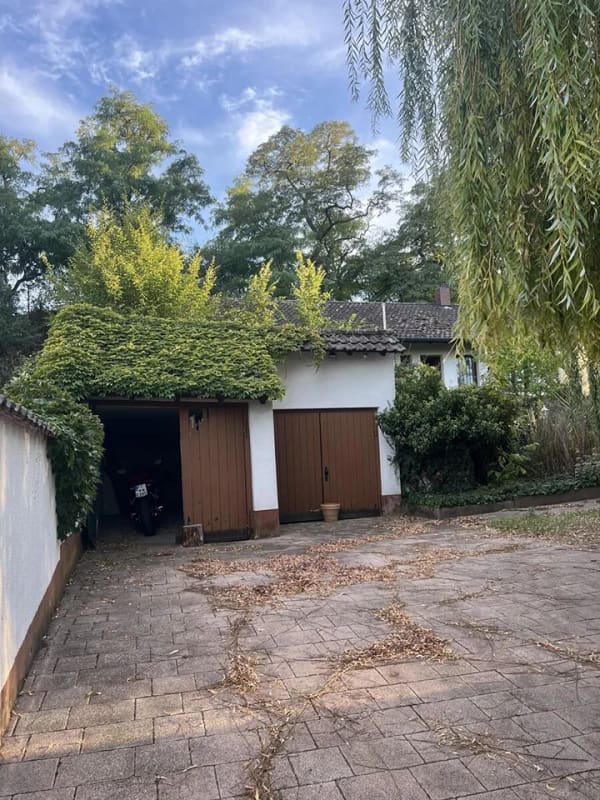 Immobilie in Gerolsheim - Bungalow in Gerolsheim - Bild 4