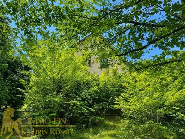 Immobilie in Rothenburg/Oberlausitz - Ruhig und naturnah wohnen - großzügiges Einfamilienhaus mit 8 Zimmern und 1.480 m² Grundstück - Bild 3