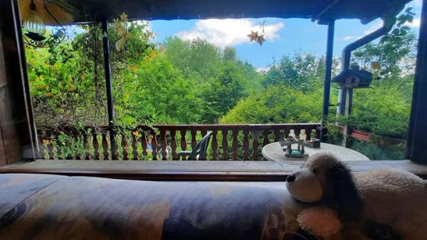 Immobilie in Harzgerode - idyllisches Wochenendhaus im Wald - Bild 2