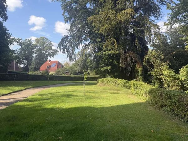 Immobilie in Ratzeburg - Wohnung in gepflegter Anlage mit Blick ins Grüne - Bild 3