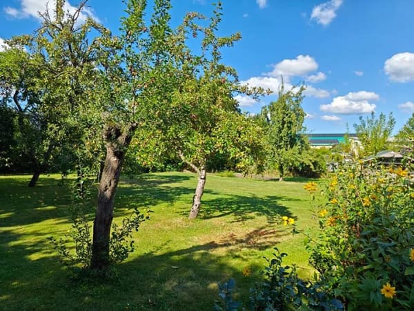 Immobilie in Bentwisch - Welcome home. – Deine moderne Doppelhaushälfte in Bentwisch - Bild 4