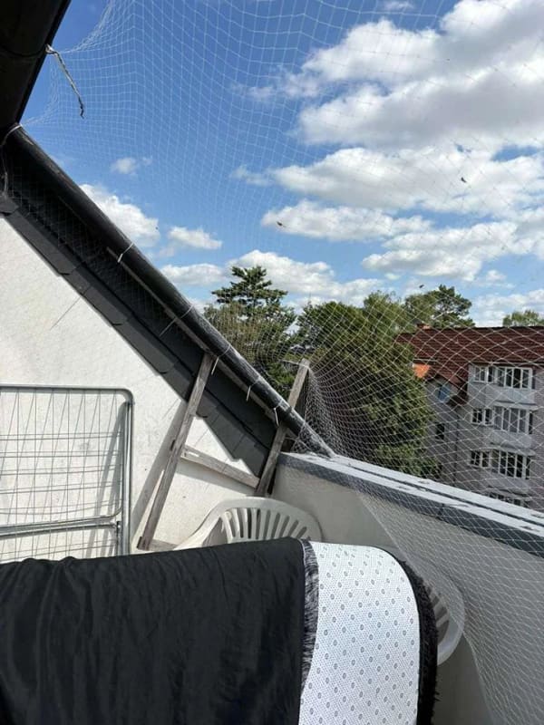 Immobilie in Osnabrück - Gepflegtes Appartement mit Balkon und Einbauküche – attraktive Kapitalanlage - Bild 4