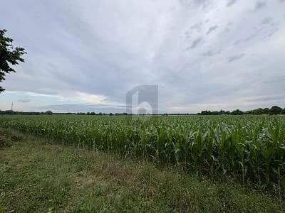 Immobilie in Alt Meteln - TOLLES HAUS IN RUHIGER FELDRANDLAGE BEI SCHWERIN - Bild 1