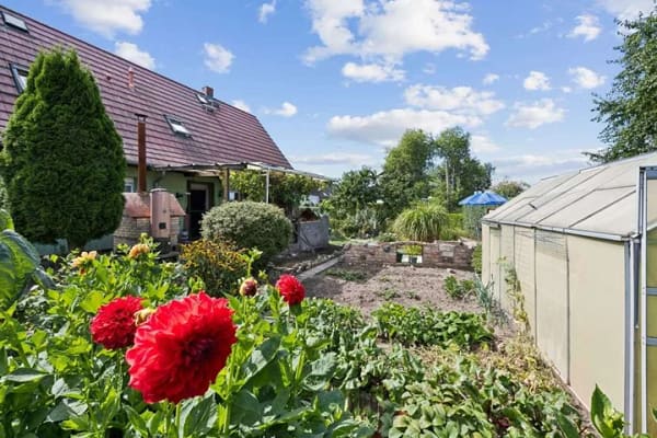 Immobilie in Frankfurt (Oder) - Haus vermieten mit Top-Miete: 6 Zimmer, vielseitig nutzbarer Garten - Bild 0