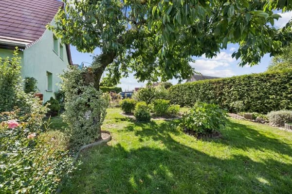 Immobilie in Frankfurt (Oder) - Haus vermieten mit Top-Miete: 6 Zimmer, vielseitig nutzbarer Garten - Bild 4